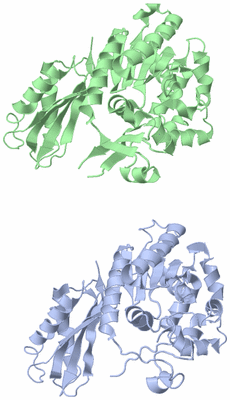 Image Asymmetric Unit