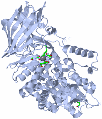 Image Biol. Unit 1 - sites