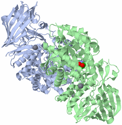 Image Biological Unit 3