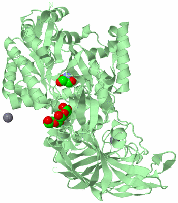 Image Biological Unit 2