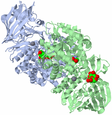 Image Biological Unit 3