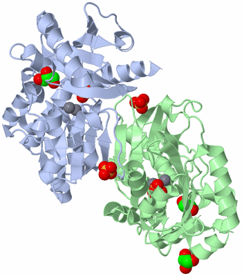 Image Asym./Biol. Unit