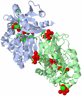 Image Asym./Biol. Unit - sites