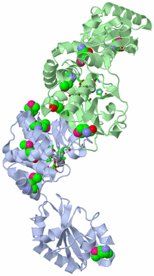 Image Biol. Unit 1 - sites