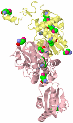 Image Biological Unit 2