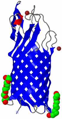 Image Asymmetric Unit