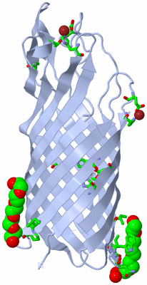 Image Biol. Unit 1 - sites