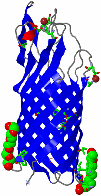 Image Asym. Unit - sites