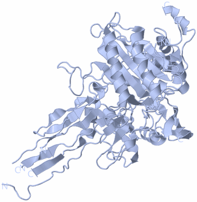 Image Biological Unit 1