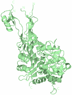 Image Biological Unit 2