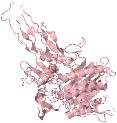 Image Biological Unit 3