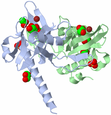 Image Asym./Biol. Unit