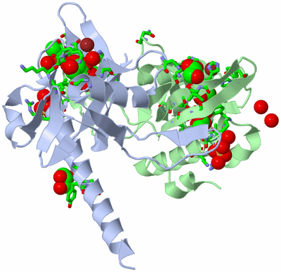 Image Asym./Biol. Unit - sites