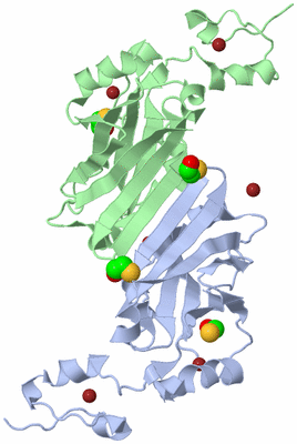 Image Biological Unit 1