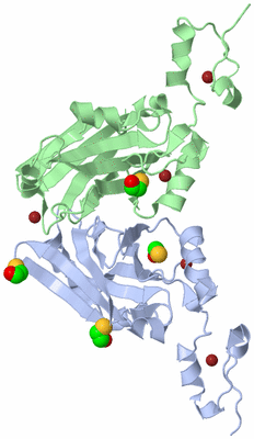 Image Biological Unit 2