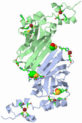 Image Asym. Unit - sites