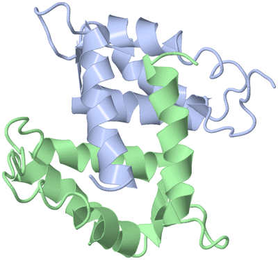 Image NMR Structure - model 1