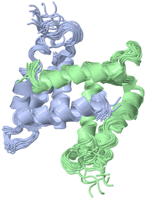 Image NMR Structure - all models