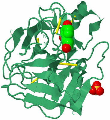 Image Biological Unit 1