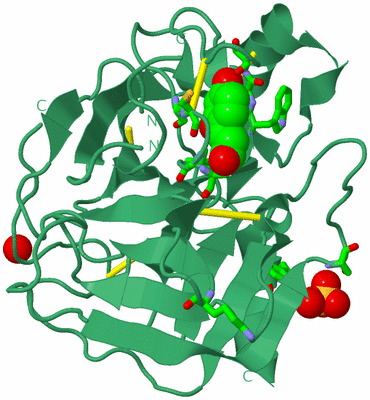 Image Biol. Unit 1 - sites