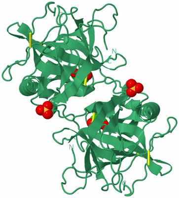 Image Biological Unit 2