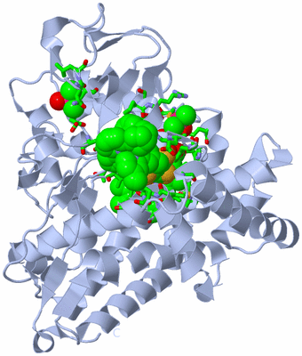 Image Biol. Unit 1 - sites