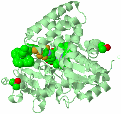 Image Biological Unit 2