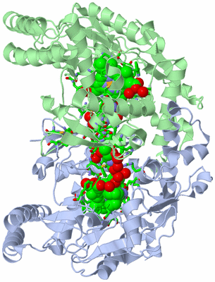 Image Asym./Biol. Unit - sites