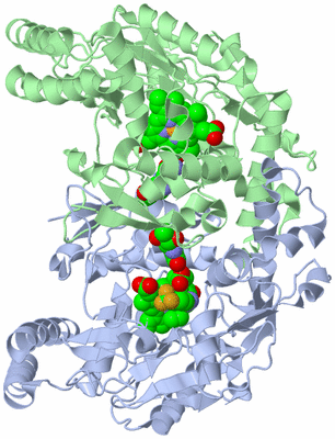 Image Asym./Biol. Unit