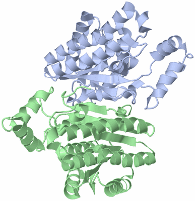 Image Biological Unit 3