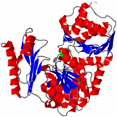 Image Asym./Biol. Unit