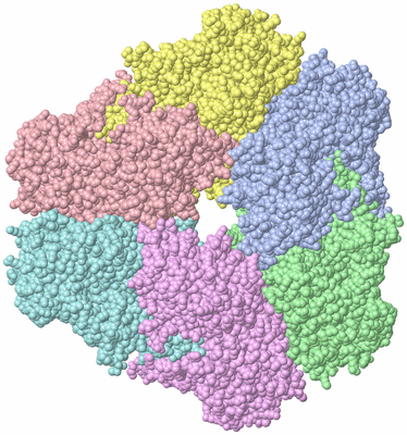 Image Asym./Biol. Unit