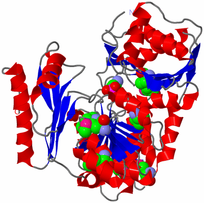 Image Asym./Biol. Unit