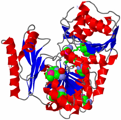 Image Asym./Biol. Unit - sites