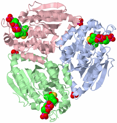 Image Asymmetric Unit