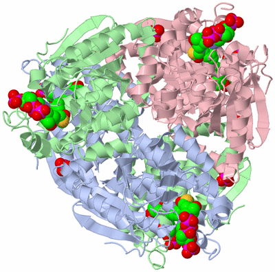 Image Biological Unit 1