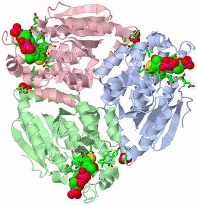 Image Asym. Unit - sites