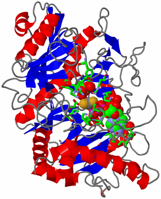 Image Asym./Biol. Unit - sites