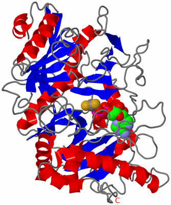 Image Asym./Biol. Unit