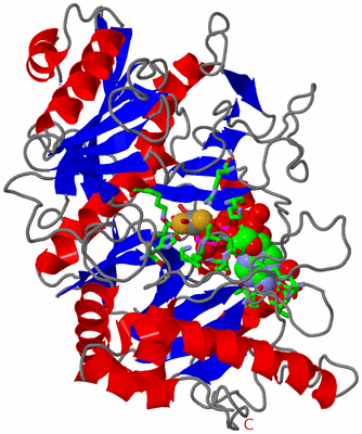 Image Asym./Biol. Unit - sites