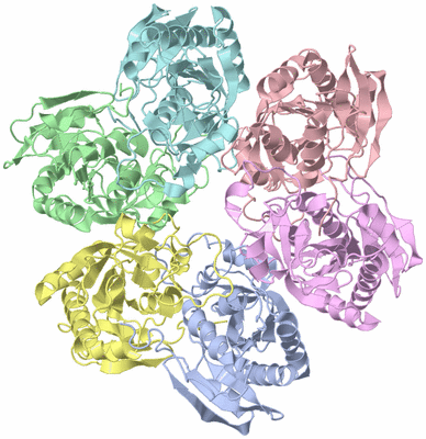 Image Asym./Biol. Unit