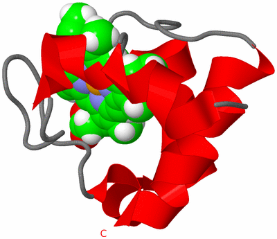 Image NMR Structure - model 1