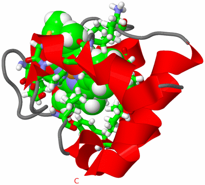 Image NMR Structure - model 1, sites