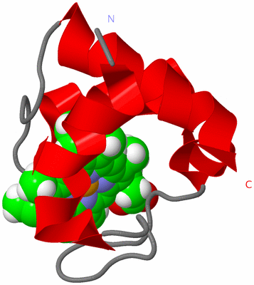 Image NMR Structure - model 1