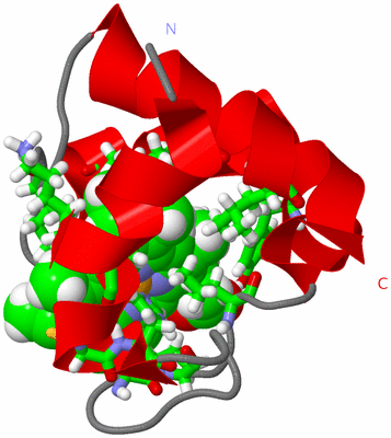 Image NMR Structure - model 1, sites