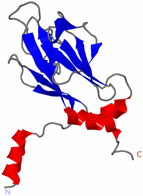 Image NMR Structure - model 1