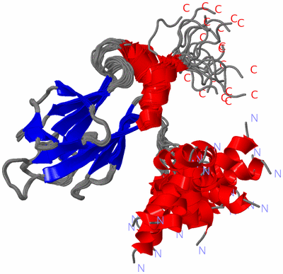 Image NMR Structure - all models