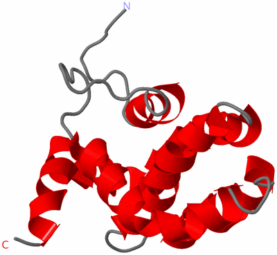 Image NMR Structure - model 1