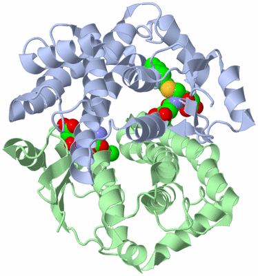 Image Asym./Biol. Unit