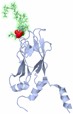 Image NMR Structure - model 1